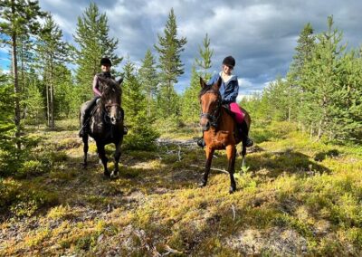 Ratsastajat metsässä