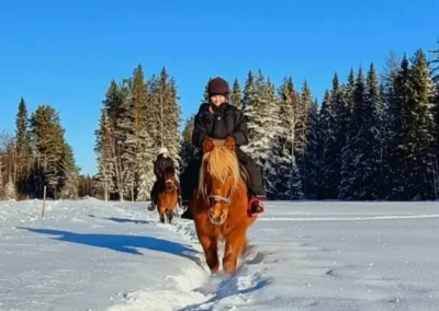 Yksityistunnit- ja vaellukset maastossa